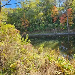 Fox River Trail - Streator