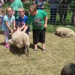 Streator City Park - Streator