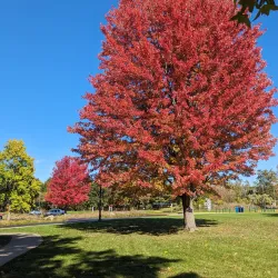 Crystal Lake Park - Urbana