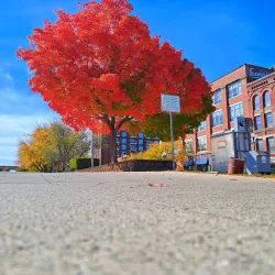 Downtown Urbana Historic District - Urbana