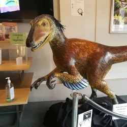 Orpheum Children's Science Museum - Urbana