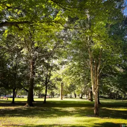 Memorial Park - Watseka