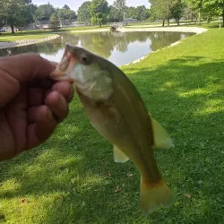 Watseka Community Center - Watseka