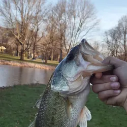 Watseka Community Center - Watseka