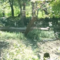 Watseka Community Center - Watseka