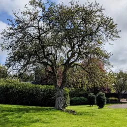 Baxter Park - West Dundee