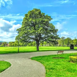 Baxter Park - West Dundee