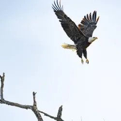 West Dundee Riverwalk - West Dundee