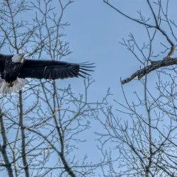 West Dundee Riverwalk - West Dundee