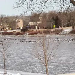 West Dundee Riverwalk - West Dundee