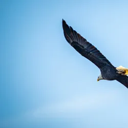 West Dundee Riverwalk - West Dundee