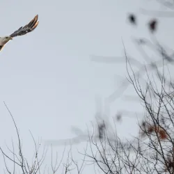 West Dundee Riverwalk - West Dundee