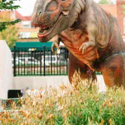 Downtown Wheaton - Wheaton