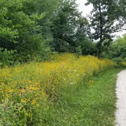 Illinois Prairie Path - Wheaton