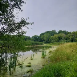 Lincoln Marsh Natural Area - Wheaton