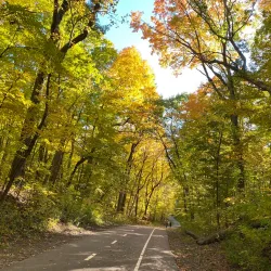 Petrifying Springs Park - Woodstock