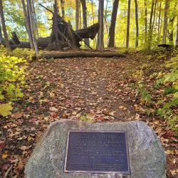 Petrifying Springs Park - Woodstock