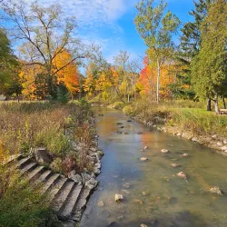 Petrifying Springs Park - Woodstock