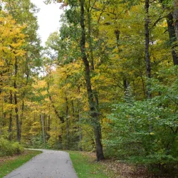 Petrifying Springs Park - Woodstock