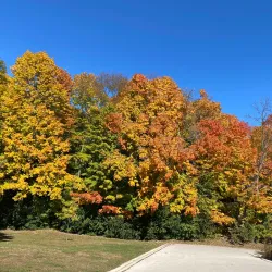 Petrifying Springs Park - Woodstock