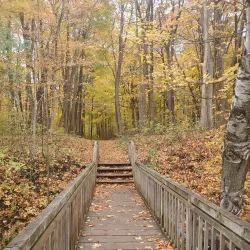 Petrifying Springs Park - Woodstock