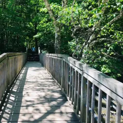 Petrifying Springs Park - Woodstock