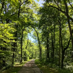 Petrifying Springs Park - Woodstock