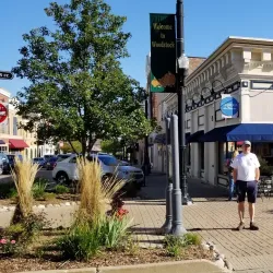 Woodstock Farmers Market - Woodstock