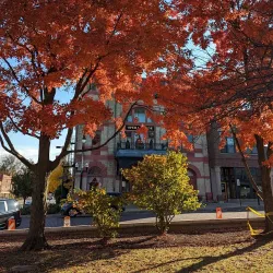 Woodstock Opera House - Woodstock