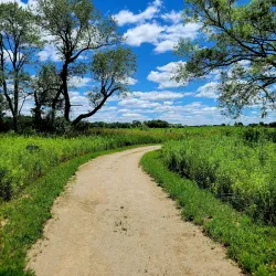 Fox River Trail - Yorkville