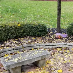 Anderson University - Anderson