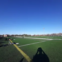 Anderson University - Anderson