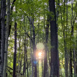 Mounds State Park - Anderson