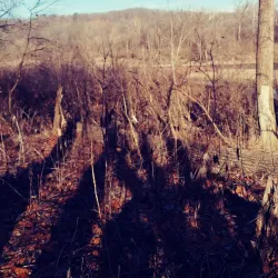 Riverside Park - Anderson