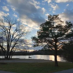 Shadyside Park - Anderson