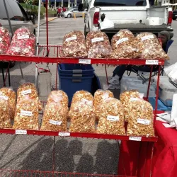 Avon Farmers Market - Avon