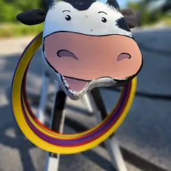 Avon Farmers Market - Avon