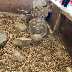 Avon Nature Preserve - Avon