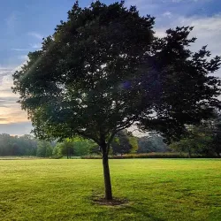 Avon Old Town Park - Avon