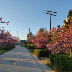 B-Line Trail - Bloomington
