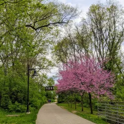 B-Line Trail - Bloomington