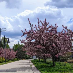 B-Line Trail - Bloomington