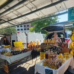 Bloomington Community Farmers' Market - Bloomington