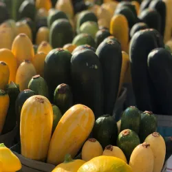 Bloomington Community Farmers' Market - Bloomington
