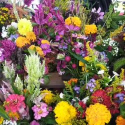 Bloomington Community Farmers' Market - Bloomington