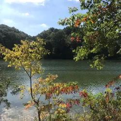 Griffy Lake Nature Preserve - Bloomington