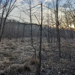 Griffy Lake Nature Preserve - Bloomington