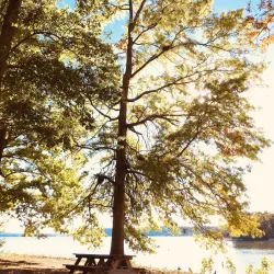 Monroe Lake - Bloomington