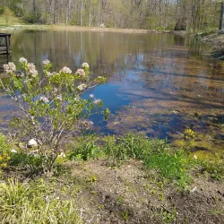 Oliver Winery - Bloomington