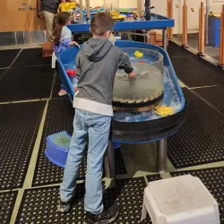 WonderLab Museum of Science, Health & Technology - Bloomington